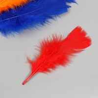 Перо декоративное гусиное "Веер" набор 30 шт h=10-15 см Перо декоративное гусиное "Веер" набор 30 шт h=10-15 см