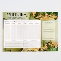 Планинг на магнитах с отрывными листами &laquo;Учителю: Учитель&raquo;, 50 листов, 19,5 х 14 см (размер части для заполнения 13 х 9,5 см)