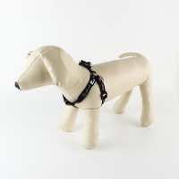 Комплект Grrr...wof, шлейка 36-49 см, поводок 120х1.5 см Комплект Grrr...wof, шлейка 36-49 см, поводок 120х1.5 см