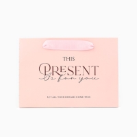 Пакет подарочный с широким дном, упаковка, &laquo;Present&raquo;, 20 х 14 х 13,2 см