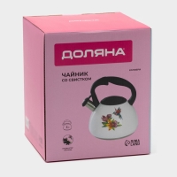 Чайник со свистком из нержавеющей стали Доляна &laquo;Колибри&raquo;, 3 л, с индикатором нагрева