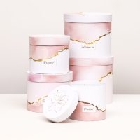 Набор шляпных коробок 5 в 1 "Нежность" розовый, 22 х 19,5 , 14 х 13 см Набор шляпных коробок 5 в 1 "Нежность" розовый, 22 х 19,5 , 14 х 13 см