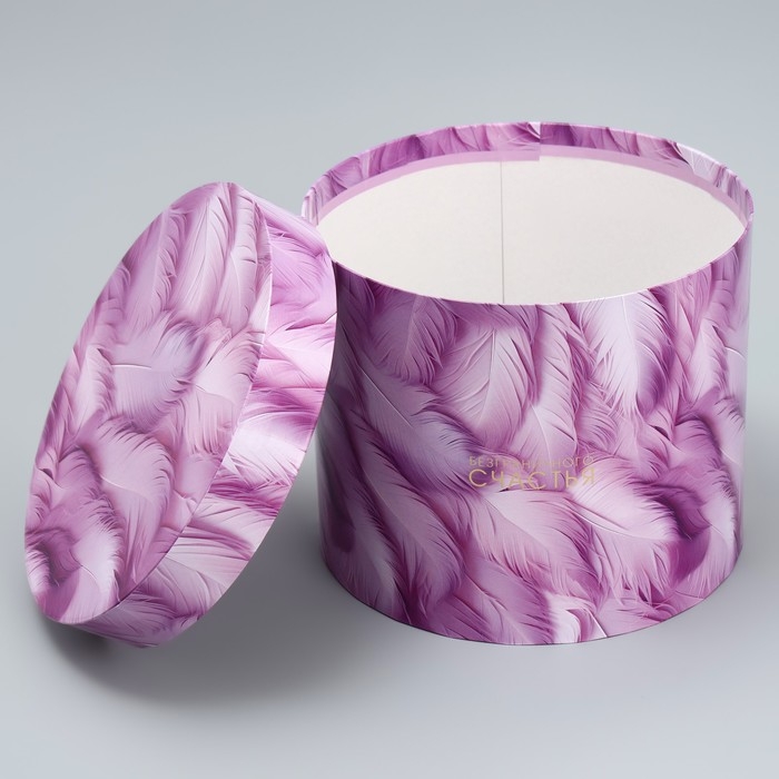 Набор шляпных коробок 5 в 1, упаковка подарочная, «Перья», 13 х 14 ‒ 19.5 х 22 см Набор шляпных коробок 5 в 1, упаковка подарочная, «Перья», 13 х 14 ‒ 19.5 х 22 см