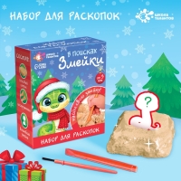 Набор для раскопок «В поисках змейки», с инструментами Набор для раскопок «В поисках змейки», с инструментами