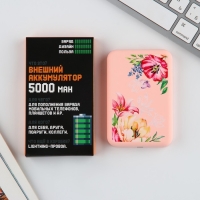 Зарядное устройство &laquo;Цветы&raquo;, 5000мА