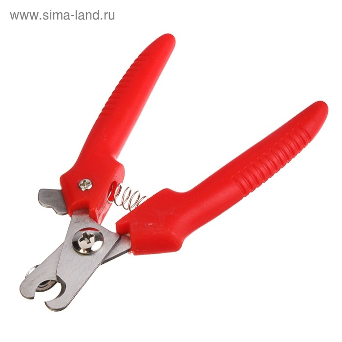 Когтерез боковой малый с прямыми ручками, 12 х 4 х 1 см, эконом, микс цветов