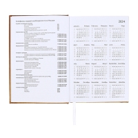 Ежедневник датированный 2024 года, А5, 176 листов, Attomex.Regent, обложка бумвинил, ляссе, блок 70 г/м2, золотой