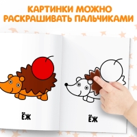 Раскраски набор &laquo;Мои первые раскраски&raquo;, 12 шт. по 16 стр.