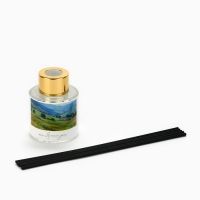 Диффузор ароматический палочки, ароматизатор для дома «Аромадиффузор: Природа», 3 шт., 50 мл. Диффузор ароматический палочки, ароматизатор для дома «Аромадиффузор: Природа», 3 шт., 50 мл.