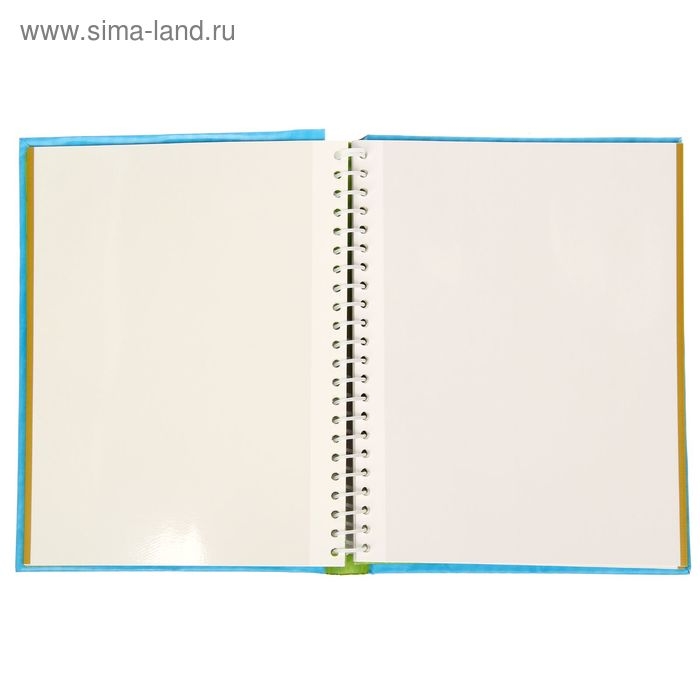 Фотоальбом "До свидания, детский сад", 20 магнитных листов