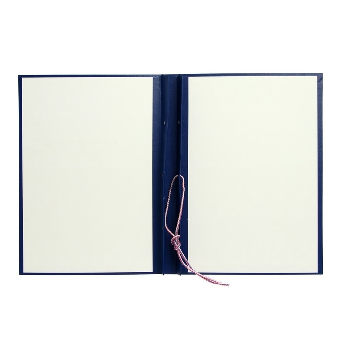 Папка Папка "Курсовой проект" А4, бумвинил, гребешки/сутаж, без бумаги, цвет синий (вместимость до 300 листов)