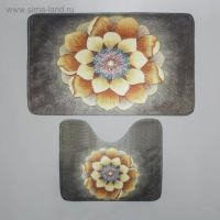 Набор ковриков для ванной и туалета Доляна &laquo;Аура&raquo;, 2 шт: 50&times;80, 50&times;40 см