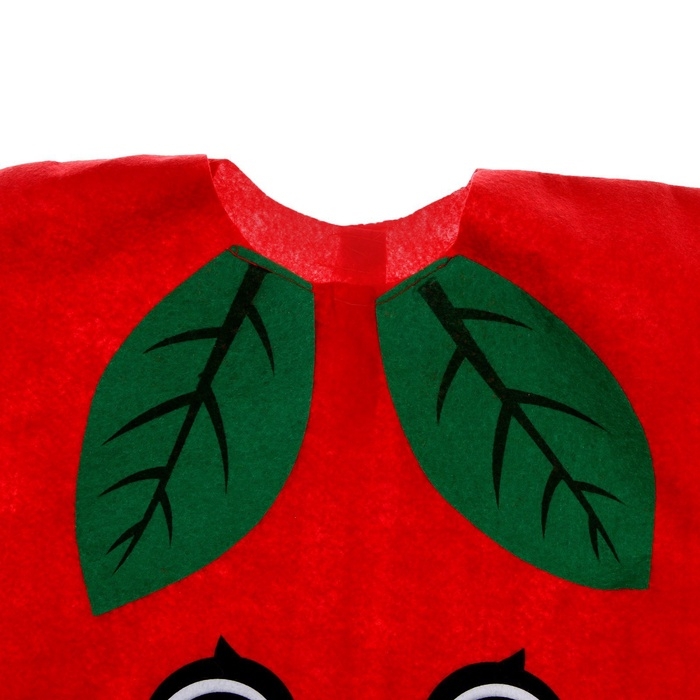 Карнавальный набор &laquo;Сочное яблоко&raquo;, фетр