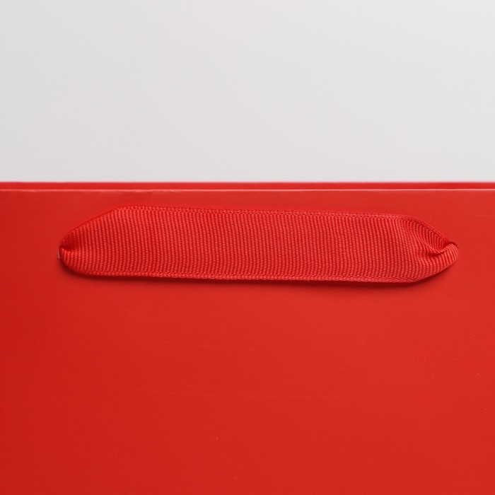 Пакет подарочный ламинированный, упаковка, &laquo;Красный&raquo;, ML 23 х 27 х 11.5 см