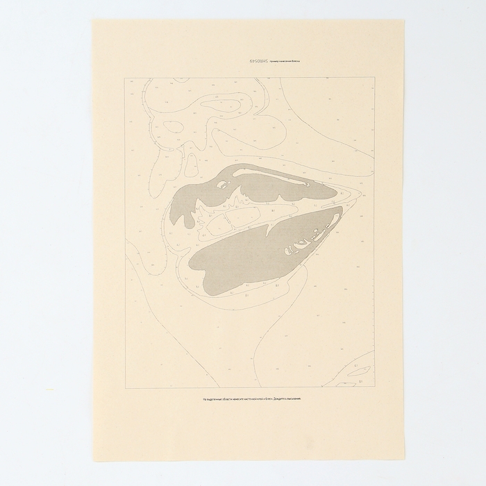 Картина по номерам &laquo;Женские штучки&raquo;, 7 цветов, с кристаллами из хрусталя, 40 &times; 50 см