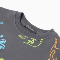 Свитшот для мальчиков, цвет графит/дино, рост 116 Свитшот для мальчиков, цвет графит/дино, рост 116