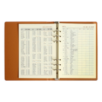 Органайзер на кольцах "Престиж" А5, 92 листа в линейку, обложка кожзам, МИКС Органайзер на кольцах "Престиж" А5, 92 листа в линейку, обложка кожзам, МИКС