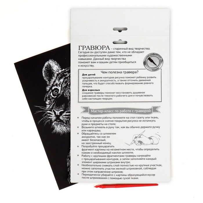 Гравюра &laquo;Тигрёнок&raquo; с металлическим эффектом &laquo;золото&raquo; А4