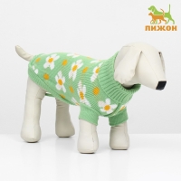 Свитер "Ромашки", размер L (ДС 35, ОШ 30, ОГ 45 см), зелёный Свитер "Ромашки", размер L (ДС 35, ОШ 30, ОГ 45 см), зелёный