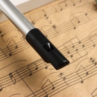 Флейта Music Life С, серебристая, 32,5 см Флейта Music Life С, серебристая, 32,5 см