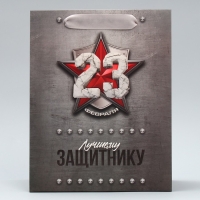 Пакет подарочный ламинированный вертикальный, упаковка, &laquo;Защитнику&raquo;, ML 23 х 27 х 11.5 см