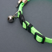 Ошейник кошачий "Бантик" со стразами, 30 х 1 см, салатовый Ошейник кошачий "Бантик" со стразами, 30 х 1 см, салатовый