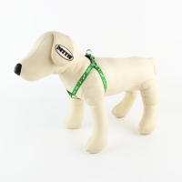 Комплект «Пора гулять», шлейка 24-34 см, поводок 120х1 см Комплект «Пора гулять», шлейка 24-34 см, поводок 120х1 см