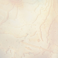 Панцирь каракатицы для птиц 13-15 см, белый Панцирь каракатицы для птиц 13-15 см, белый