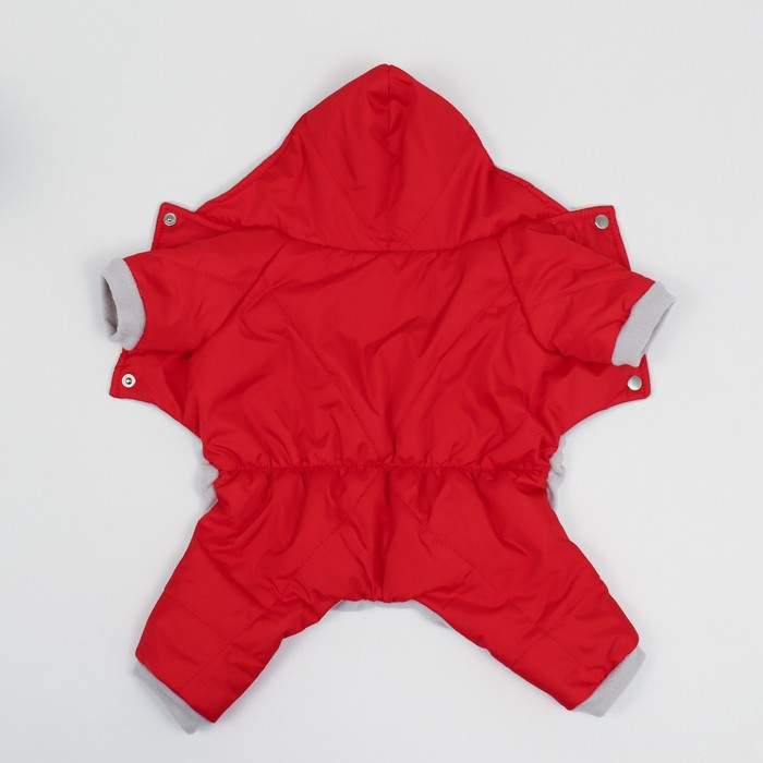 Комбинезон зимний для животных, XL (ДС 32-34, ОШ 32, ОГ 40-44 см), красный