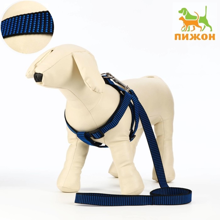 Комплект амуниции рельефный, поводок 120 х 2 см, ОГ 44-50 см, сине-чёрный Комплект амуниции рельефный, поводок 120 х 2 см, ОГ 44-50 см, сине-чёрный