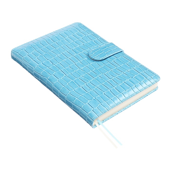 Ежедневник датированный 2025 года A5, 168 листов, deVENTE. Barbara, твердая обложка кожзам с поролоном, перфорацией, ляссе, блок 70, голубой