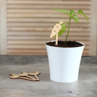 Таблички садовые для маркировки, 12 см, набор 8 шт., дерево, «Морковь», Greengo Таблички садовые для маркировки, 12 см, набор 8 шт., дерево, «Морковь», Greengo