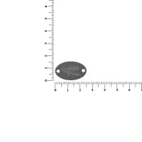 Шильдик металлический Alfa Oval, серый Шильдик металлический Alfa Oval, серый