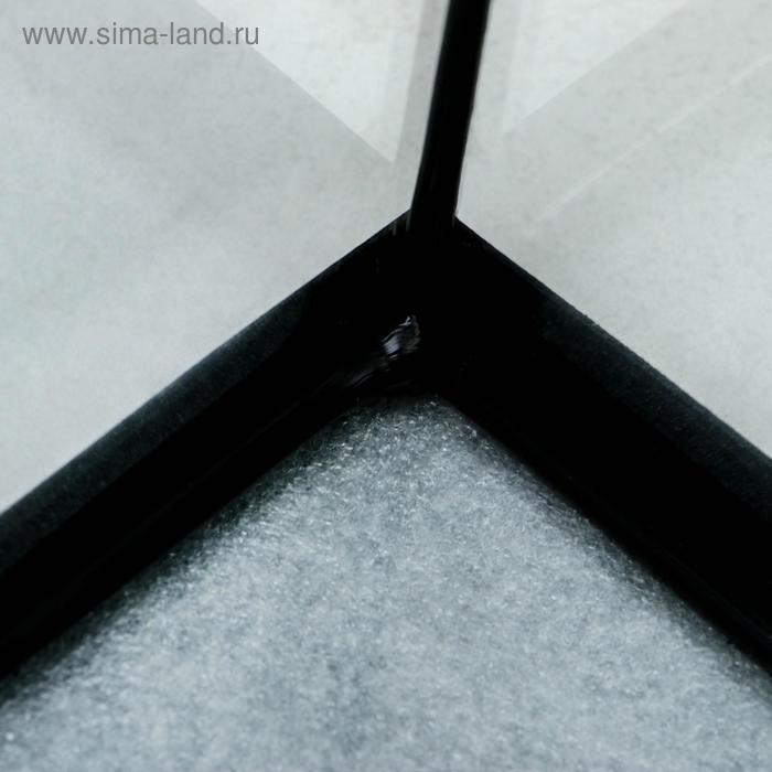 Аквариум Аквариум "Лагуна", 45 литров, 47 х 26 х 38 см, чёрный