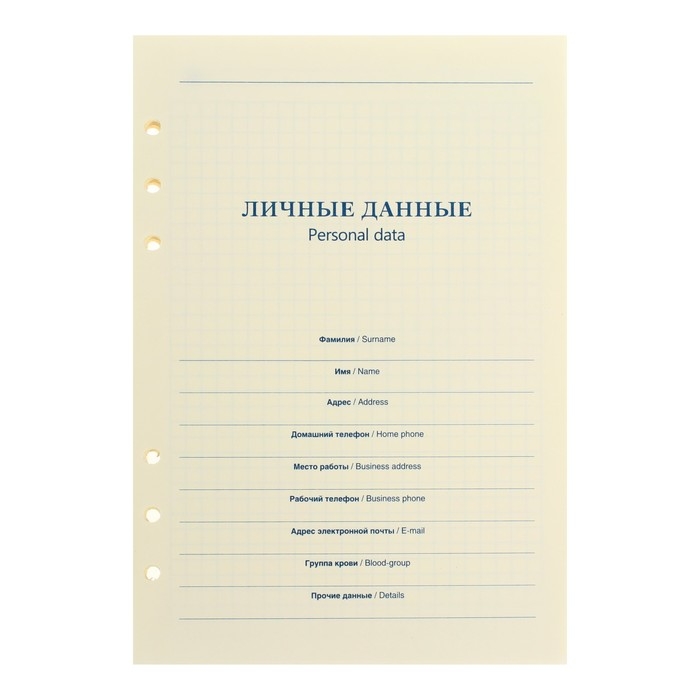 Сменный блок для органайзера А5, 80 листов в клетку, тонированный Сменный блок для органайзера А5, 80 листов в клетку, тонированный "Кремовый"