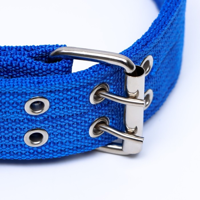 Ошейник четырехслойный с вертлюгом, 65 х 4 см, ОШ 54-60 см, полиэстер, синий Ошейник четырехслойный с вертлюгом, 65 х 4 см, ОШ 54-60 см, полиэстер, синий
