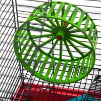 Клетка для грызунов "Пижон" №5, с 3 этажами, укомплектованная, 41 х 30 х 58 см, рубиновая Клетка для грызунов "Пижон" №5, с 3 этажами, укомплектованная, 41 х 30 х 58 см, рубиновая