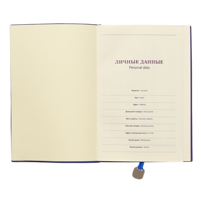 Ежедневник недатированный А5, 120 листов в клетку, обложка ЛАЙТ, МИКС