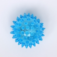 Мяч светящийся для собак средний, TPR, 5,5 см, голубой Мяч светящийся для собак средний, TPR, 5,5 см, голубой