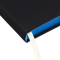 Ежедневник датированный 2025 года, deVENTE. Flag, B5 168 листов, deVENTE. Duo, твердая обложка кожзам с поролоном, шелкография, перфорация, ляссе, блок 70 г/м2