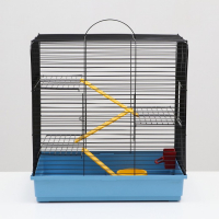Клетка для грызунов "Сеня 3-1", 49 x 36 x 51 см, микс цветов Клетка для грызунов "Сеня 3-1", 49 x 36 x 51 см, микс цветов