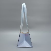 Переноски для цветов «Киса», 14 × 10 × 9 см Переноски для цветов «Киса», 14 × 10 × 9 см