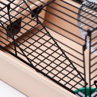 Клетка-мини для грызунов "Пижон" №2, укомплектованная, 27 х 15 х 16 см, бежевая Клетка-мини для грызунов "Пижон" №2, укомплектованная, 27 х 15 х 16 см, бежевая