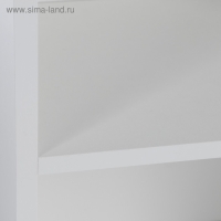 Стеллаж Лофт 1900 6 ниш, 1916х244х500, Белый Стеллаж Лофт 1900 6 ниш, 1916х244х500, Белый