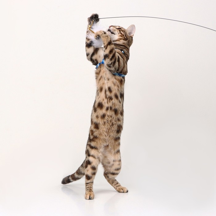 Дразнилка-удочка Дразнилка-удочка "Мягкая забава" со стальным тросиком, 90 см