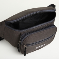 Сумка поясная на молнии, 2 наружных кармана, цвет серый Сумка поясная на молнии, 2 наружных кармана, цвет серый