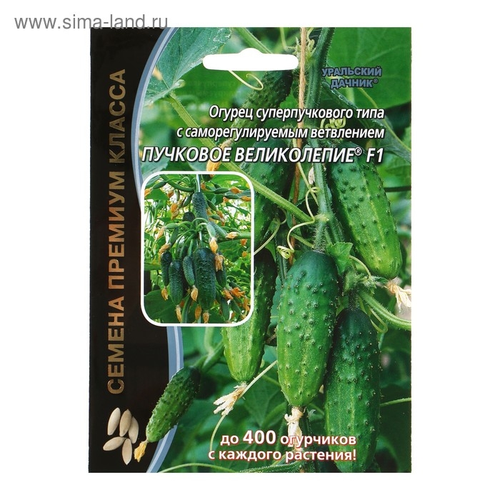 Семена Огурец Семена Огурец "Пучковое великолепие" F1 скороспелый, пучковый, партенокарпический, 5 шт