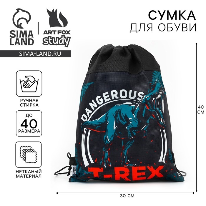 Мешок для обуви &laquo;1 сентября: T-REX динозавр&raquo; нетканное полотно, размер 30 х 40 см
