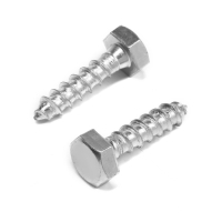 Шуруп-болт ТУНДРА, сантехнический, оцинкованный, DIN 571, М10х40 мм, 4,8 - 5 кг Шуруп-болт ТУНДРА, сантехнический, оцинкованный, DIN 571, М10х40 мм, 4,8 - 5 кг