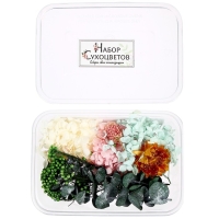 Набор для творчества &laquo;Набор сухоцветов&raquo;, большой, розовый, жёлтый, голубой, зелёный